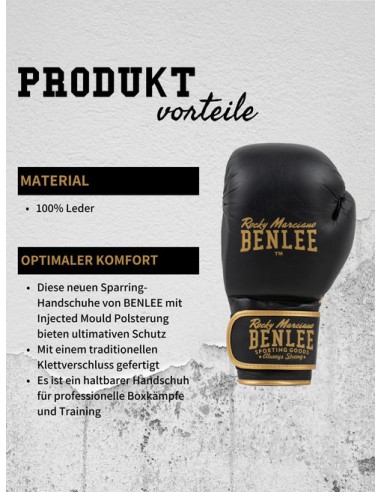 Ton partenaire d'entraînement idéal : les gants d'entraînement BENLEE Basher Sparring