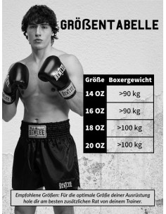 Ton partenaire d'entraînement idéal : les gants d'entraînement BENLEE Basher Sparring 2