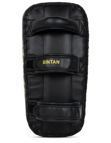 Top BENLEE Bintan forearm braces: Optimum punch & kick training!