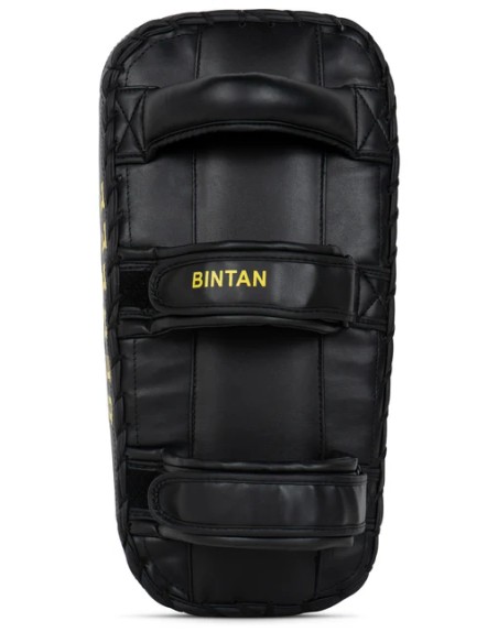 Top BENLEE Bintan forearm braces: Optimum punch & kick training!