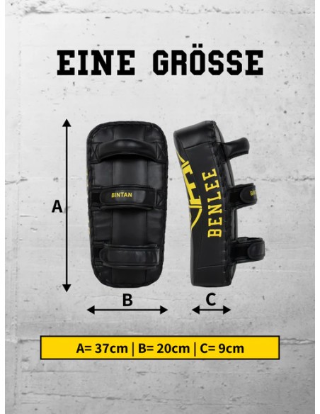 Top BENLEE Bintan forearm braces: Optimum punch & kick training!