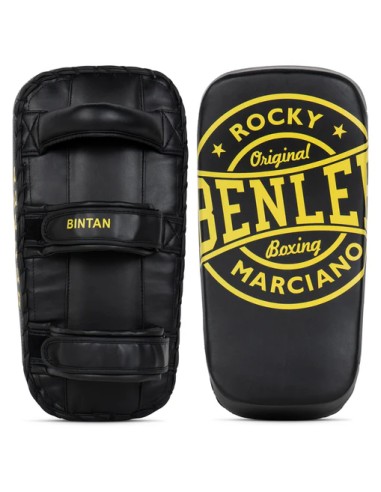 Top BENLEE Bintan forearm braces: Optimum punch & kick training!