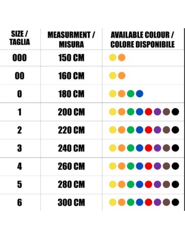 Leone Karate Gürtel - Kyū in verschiedenen Farben