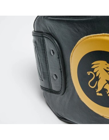 Leone1947 Acquista lo scudo per la pancia - Linea elettrica nel nostro Vikingstore