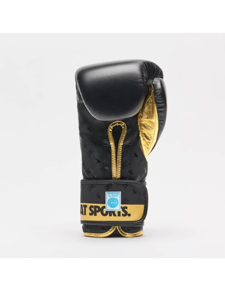 Gants de boxe WAKO par Leone : Élégants et robustes sur le ring