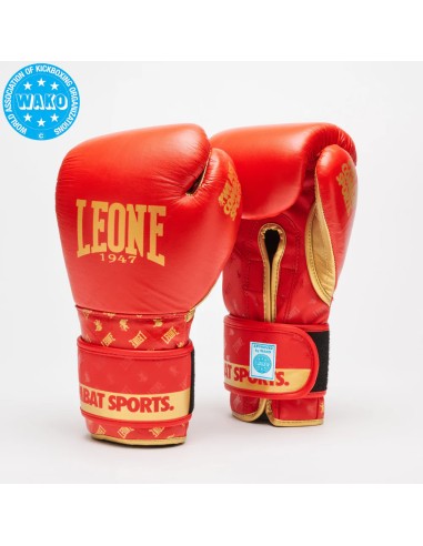 Gants de boxe WAKO par Leone : Élégants et robustes sur le ring