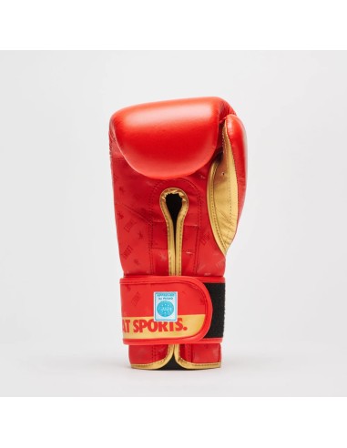 Gants de boxe WAKO par Leone : Élégants et robustes sur le ring