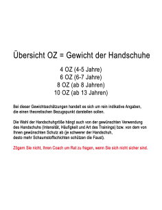 8 Weapons Kinder Boxhandschuhe Bestial Panther 2