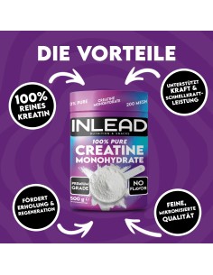 INLEAD Creatine Monohydrate 500g | Creatine Powder Switzerland 2