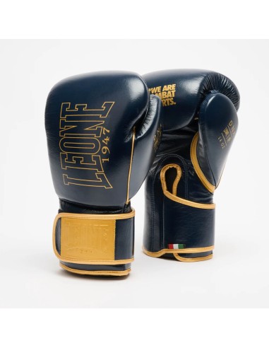 Découvrez les gants de boxe Leone DNA Premium bleus et or.