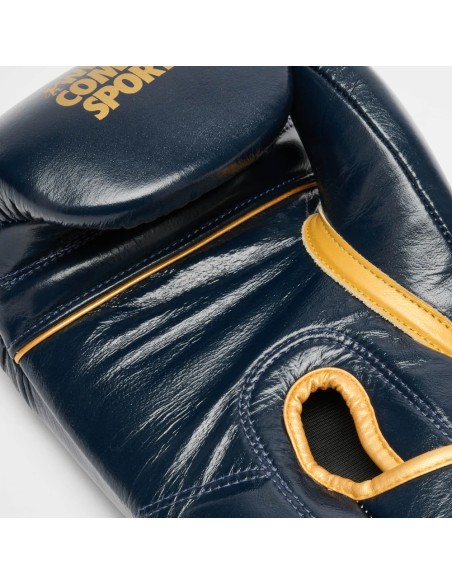 Découvrez les gants de boxe Leone DNA Premium bleus et or.