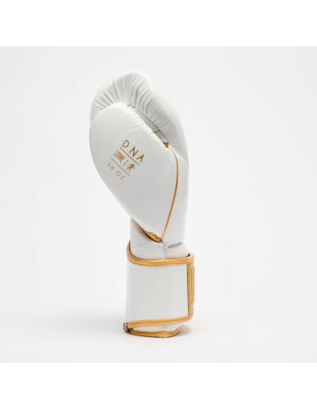 Guantoni da boxe DNA Premium in bianco e oro di Leone1947