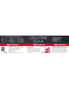 Powerfood One Creatine + EAA 300g 2