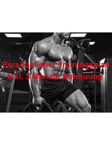 Persönlicher Trainigsplan inkl 3 Monate Betreuung
