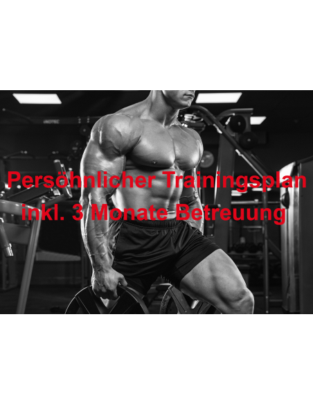 Persönlicher Trainigsplan - Männer