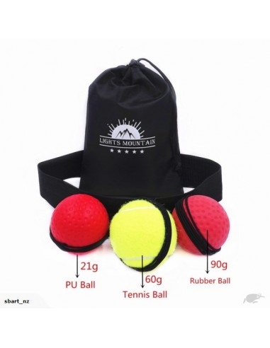 Acheter Reflex Ball Set pour la boxe dans la boutique en ligne suisse
