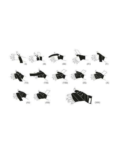 Bandages semi-elastic 2.5m - Leone1947 buy in the swiss online shop