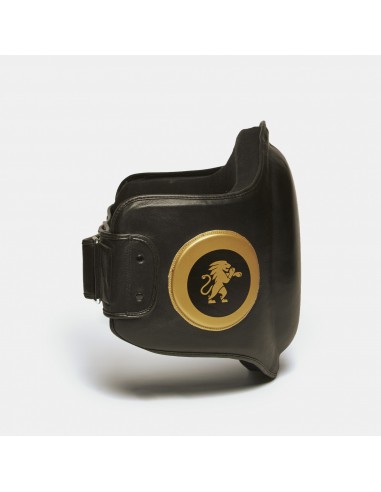 Buy belly shield - Power Line from Leone1947 in our Vikingstore