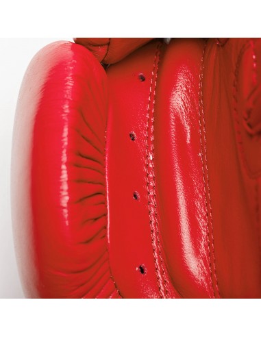 Fighting gloves red corner: Leone Contest leather boxing gloves