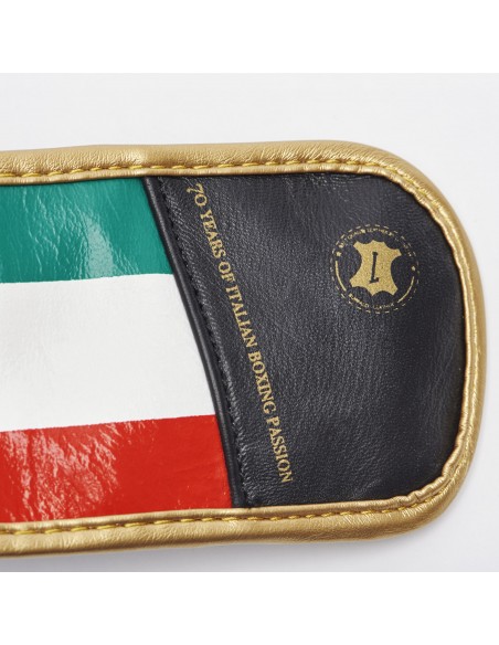 Italian quality: Leone leather boxing gloves Italy in black