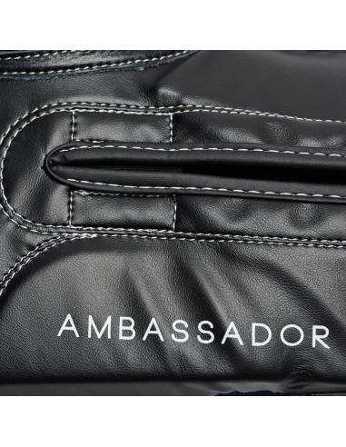 Gants de boxe rouges Leone Ambassador GN207 : ton nouveau partenaire sur le ring !