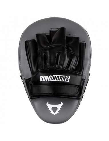 Ringhorns Charger Focus Mitts: Your must-have for boxing training!