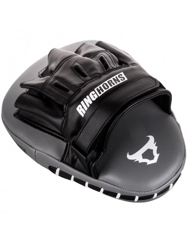 Ringhorns Charger Focus Mitts: Your must-have for boxing training!