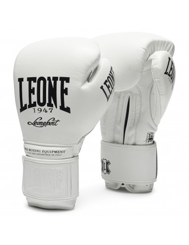 Leone1947 presenta: I migliori guantoni da boxe per gli atleti professionisti
