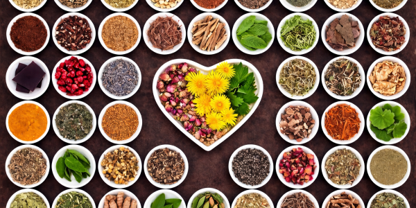 Du poivre du moine au mélilot : 19 herbes féminines