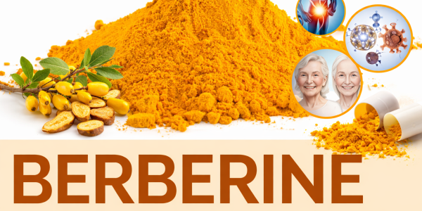 Berbérine - Origine - Bienfaits - Utilisation