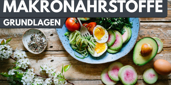 Glucides, protéines et graisses - tout ce que tu dois savoir sur les macros