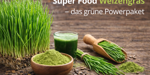Super Food herbe de blé - le paquet de puissance verte