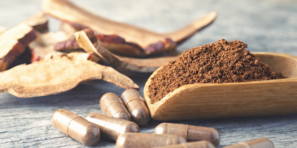Astragalus : la force de la nature pour ta forme physique