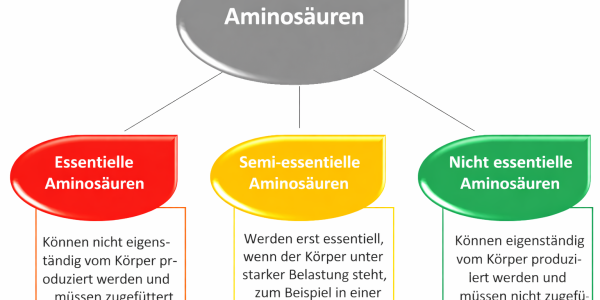 Les acides aminés essentiels et leurs effets : ta clé pour améliorer tes performances sportives