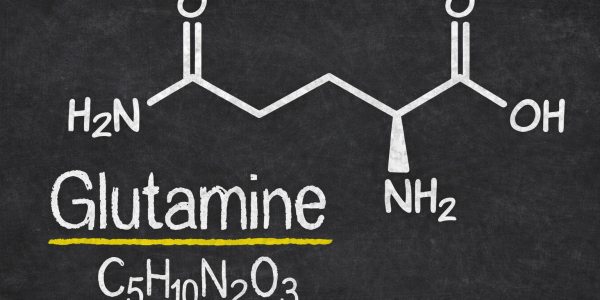 Glutamin – was bringt diese Aminosäure wirklich?