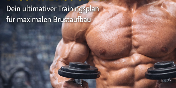 Une poitrine en granit : votre programme d'entraînement ultime pour une croissance maximale de la poitrine