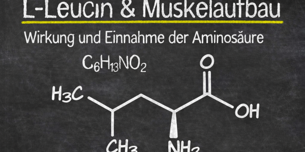 L - Leucine und Muskelaufbau - alles über Wirkung und Einnamhe der Aminosäure L- Leucine 