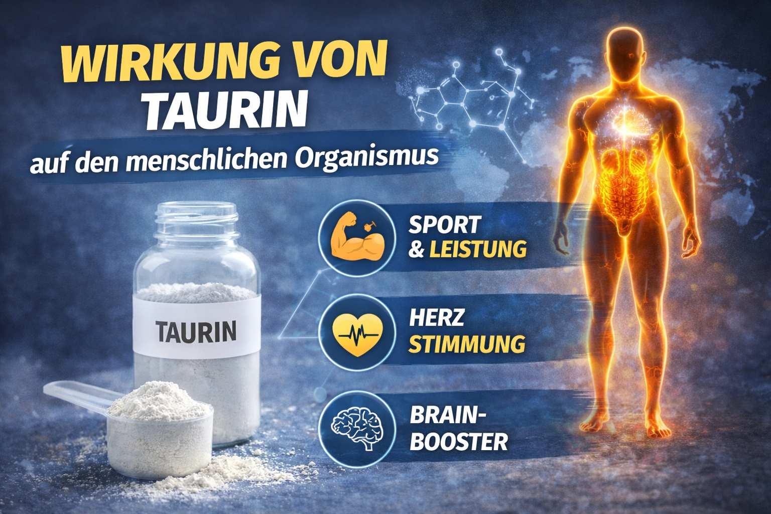 Effet de la taurine sur l'organisme humain