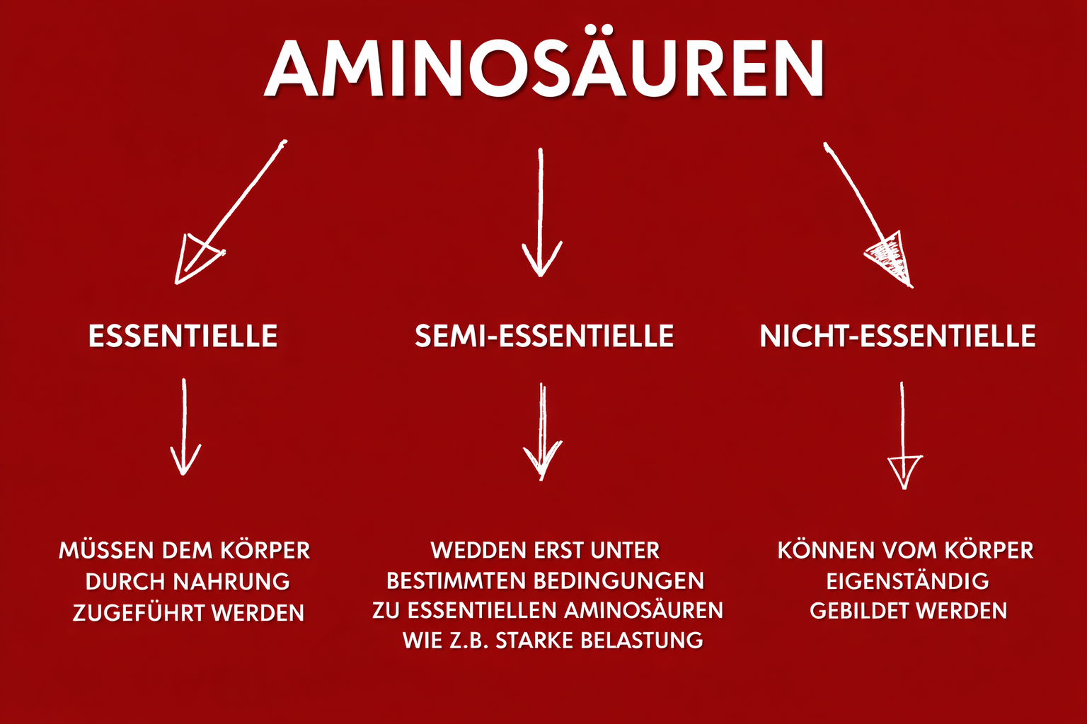 Aminosäuren - Übersicht Essentielle, semi Essentielle und nicht Essentielle Aminosäuren
