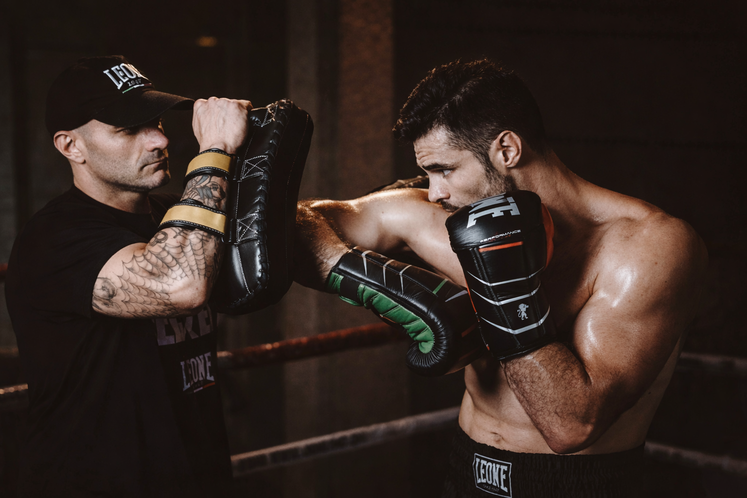 Pads and punching pads for your boxing training