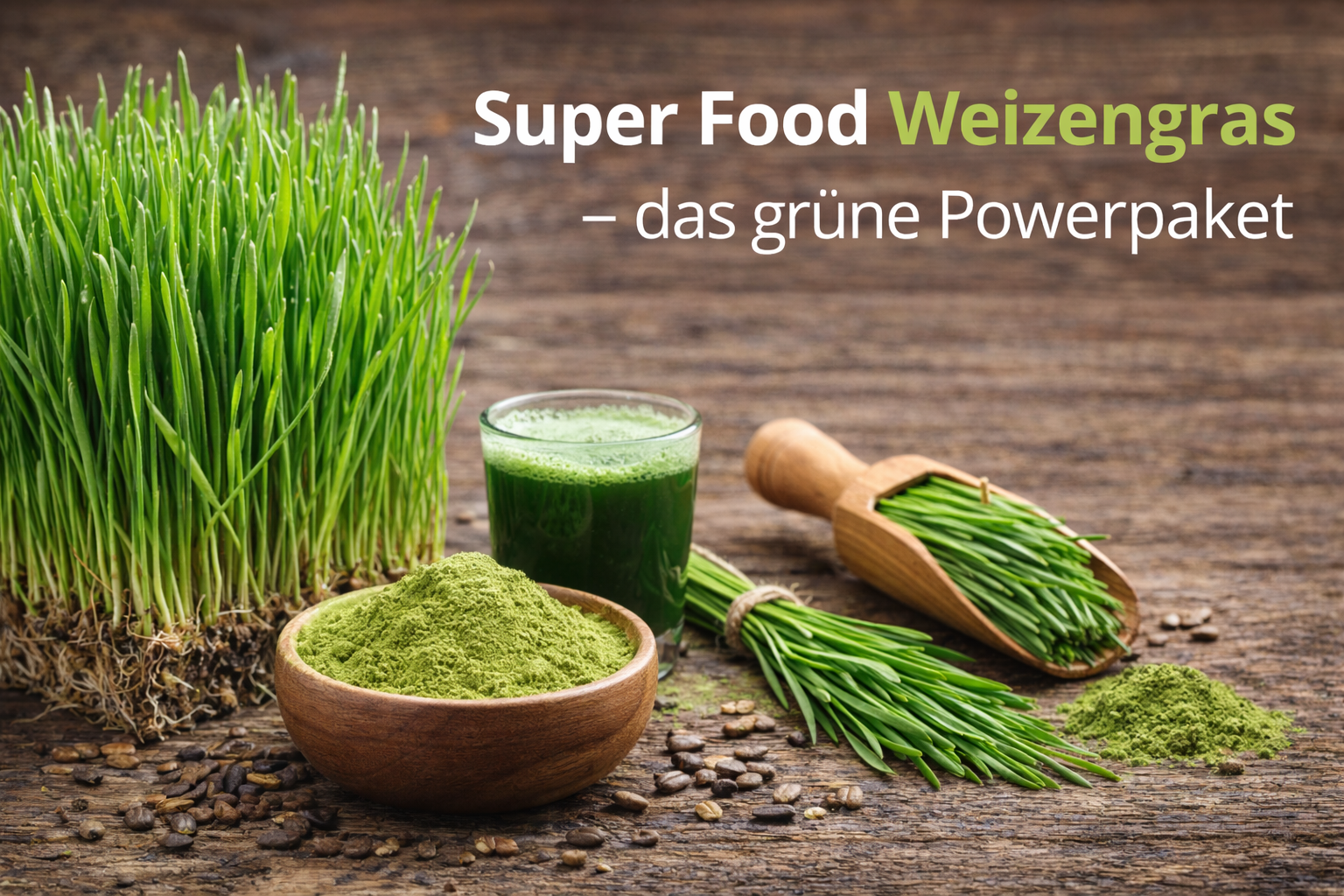 Super Food herbe de blé - le paquet de puissance verte