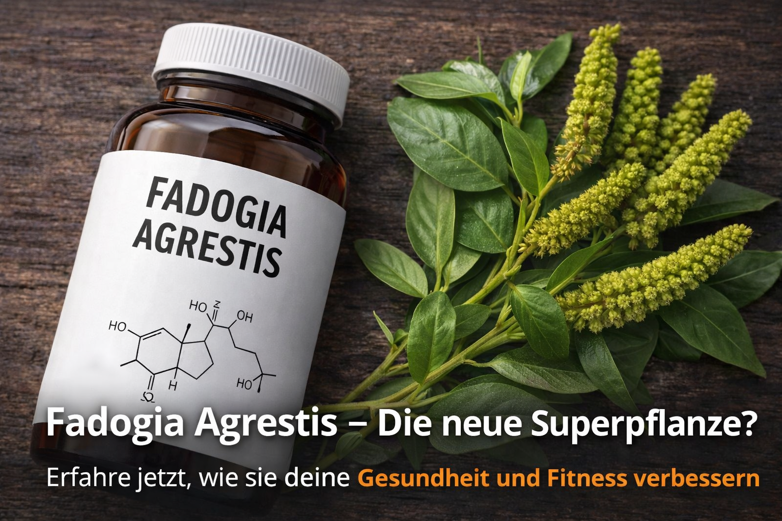 Fadogia Agrestis - The new super plant? Find out now how it can improve your health and fitness!