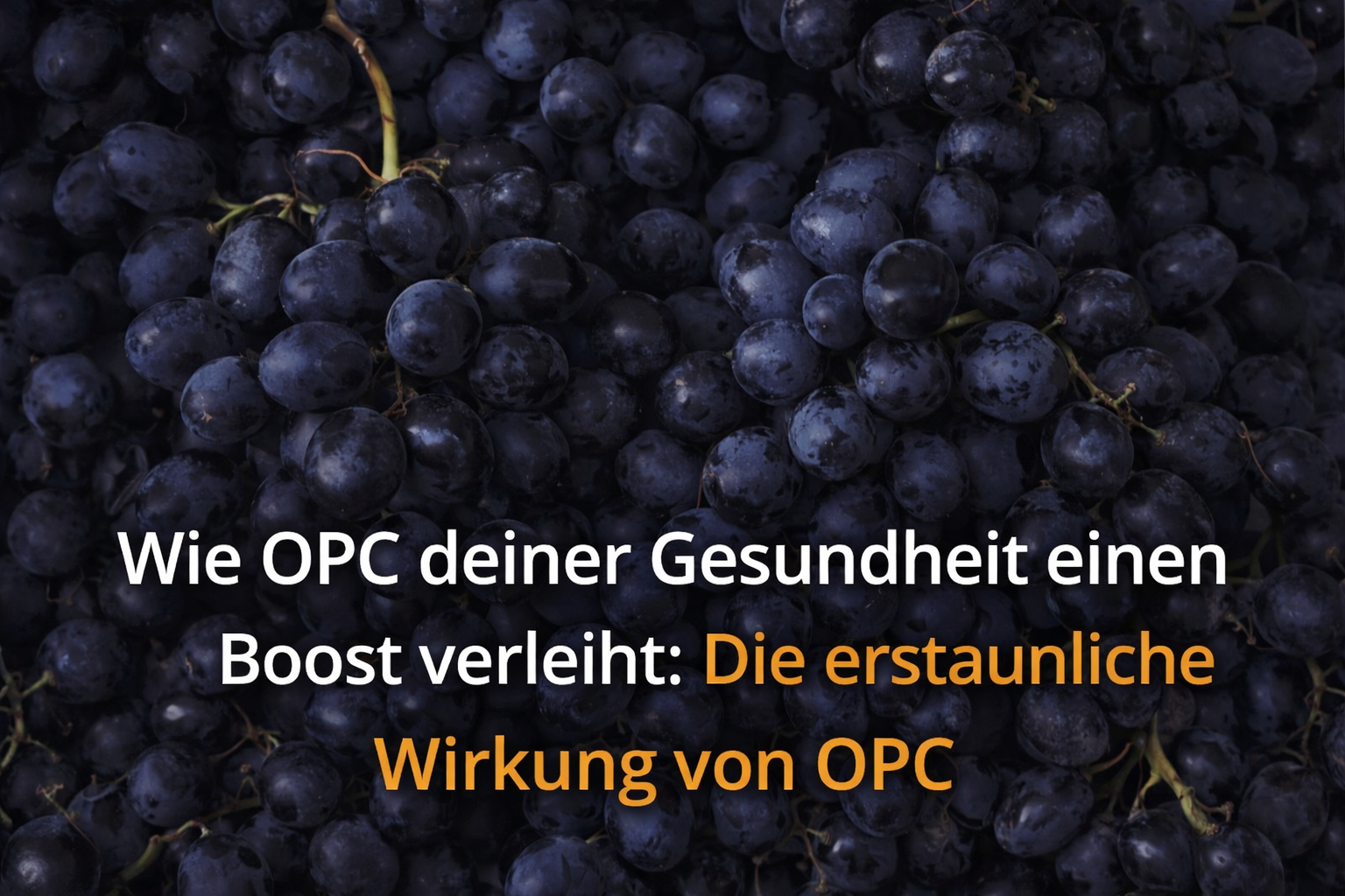 How OPC gives your health a boost: The amazing effects of OPC