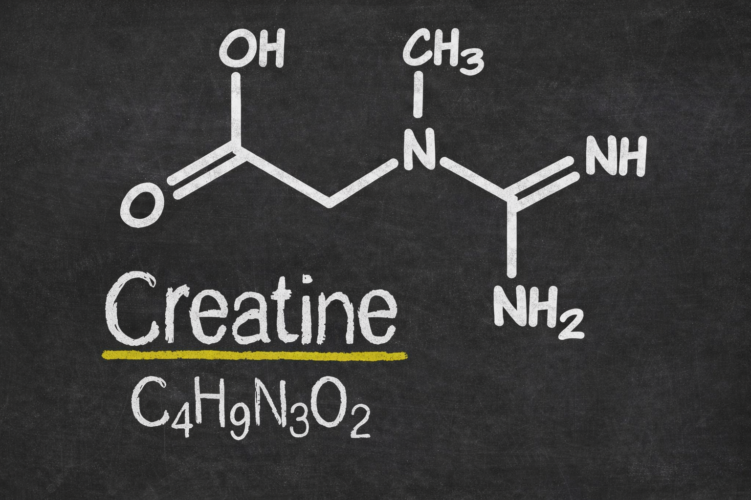 Creatine clarity: what you need to know to get off to a good start!