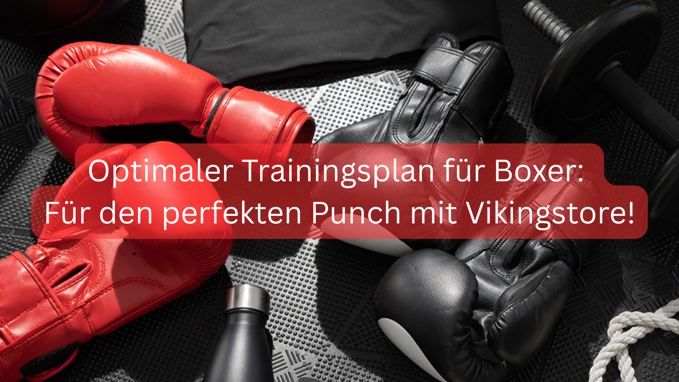 Optimaler Trainingsplan für Boxer: Für den perfekten Punch mit Vikingstore!