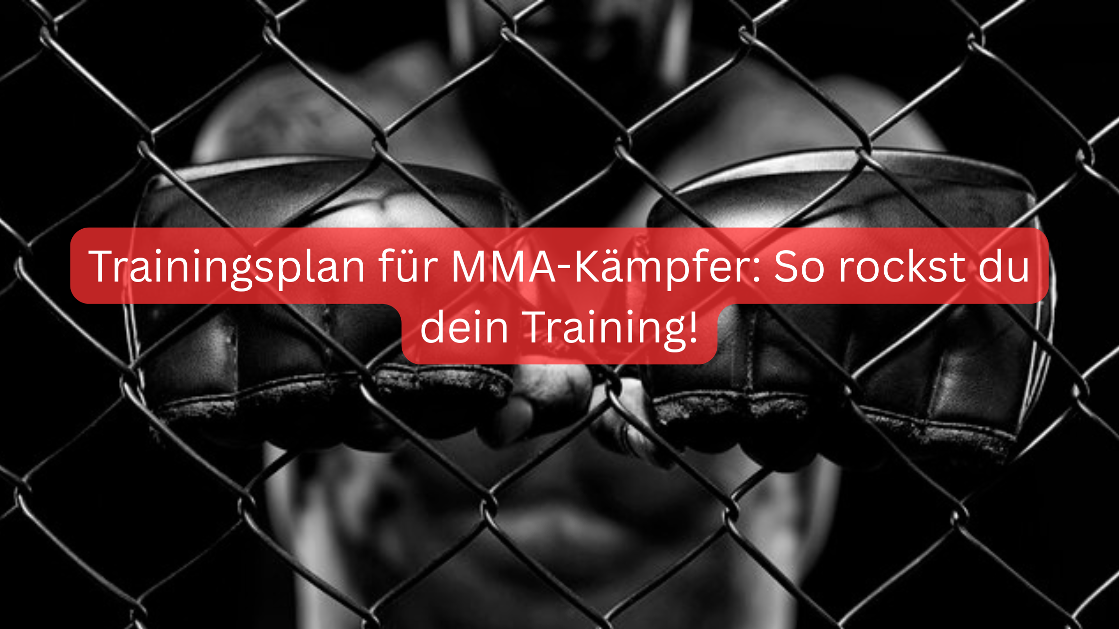 Trainingsplan für MMA-Kämpfer: So rockst du dein Training!