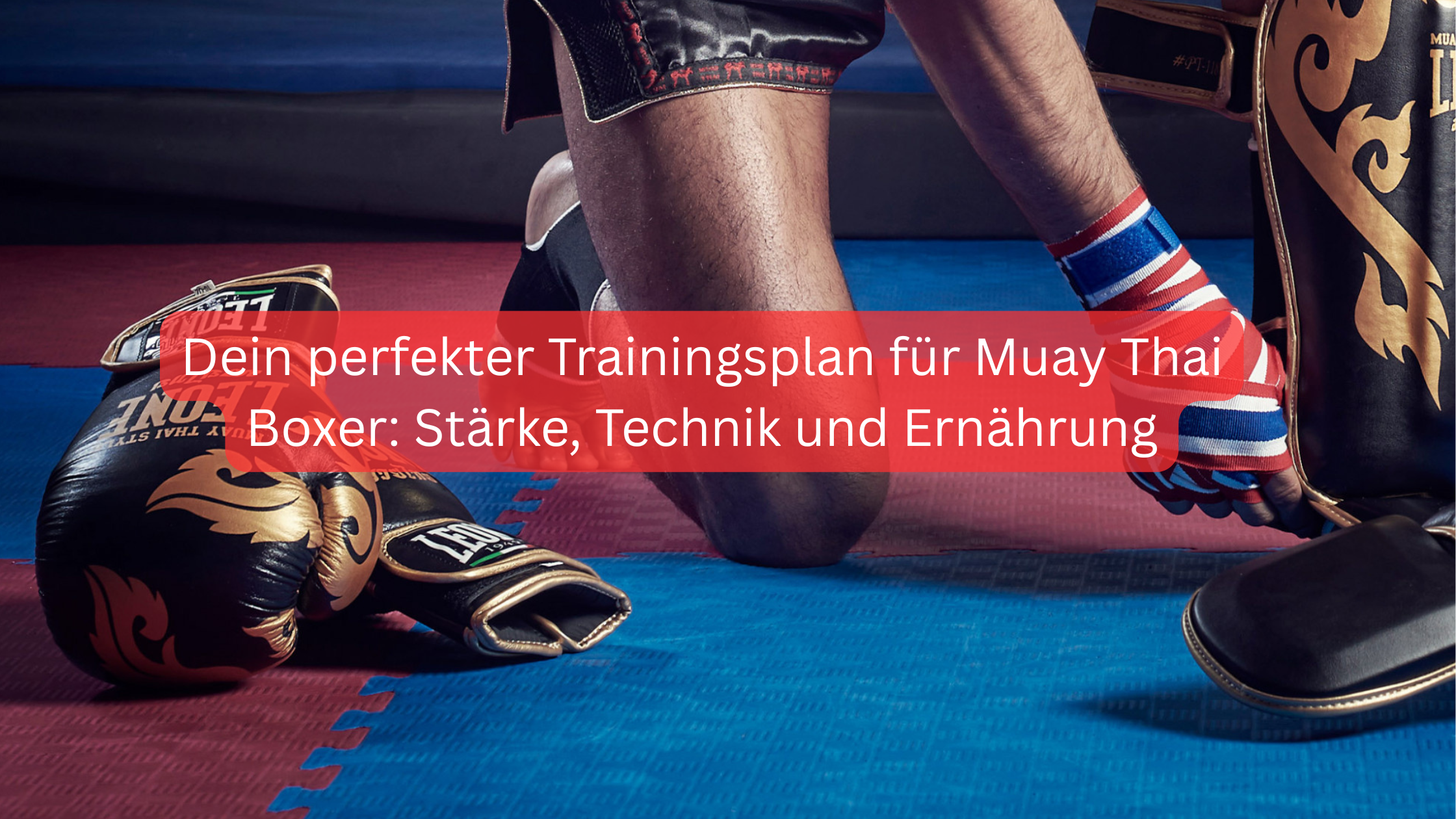 Dein perfekter Trainingsplan für Muay Thai Boxer: Stärke, Technik und Ernährung