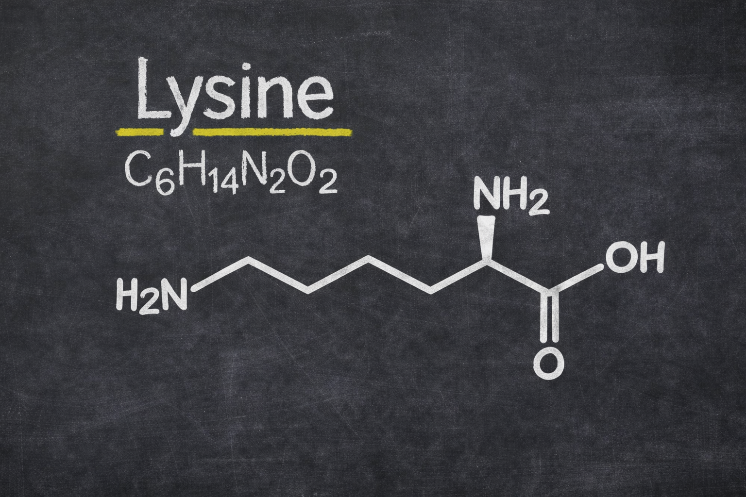 L-lisina: la chiave per una maggiore energia e una rigenerazione più veloce
