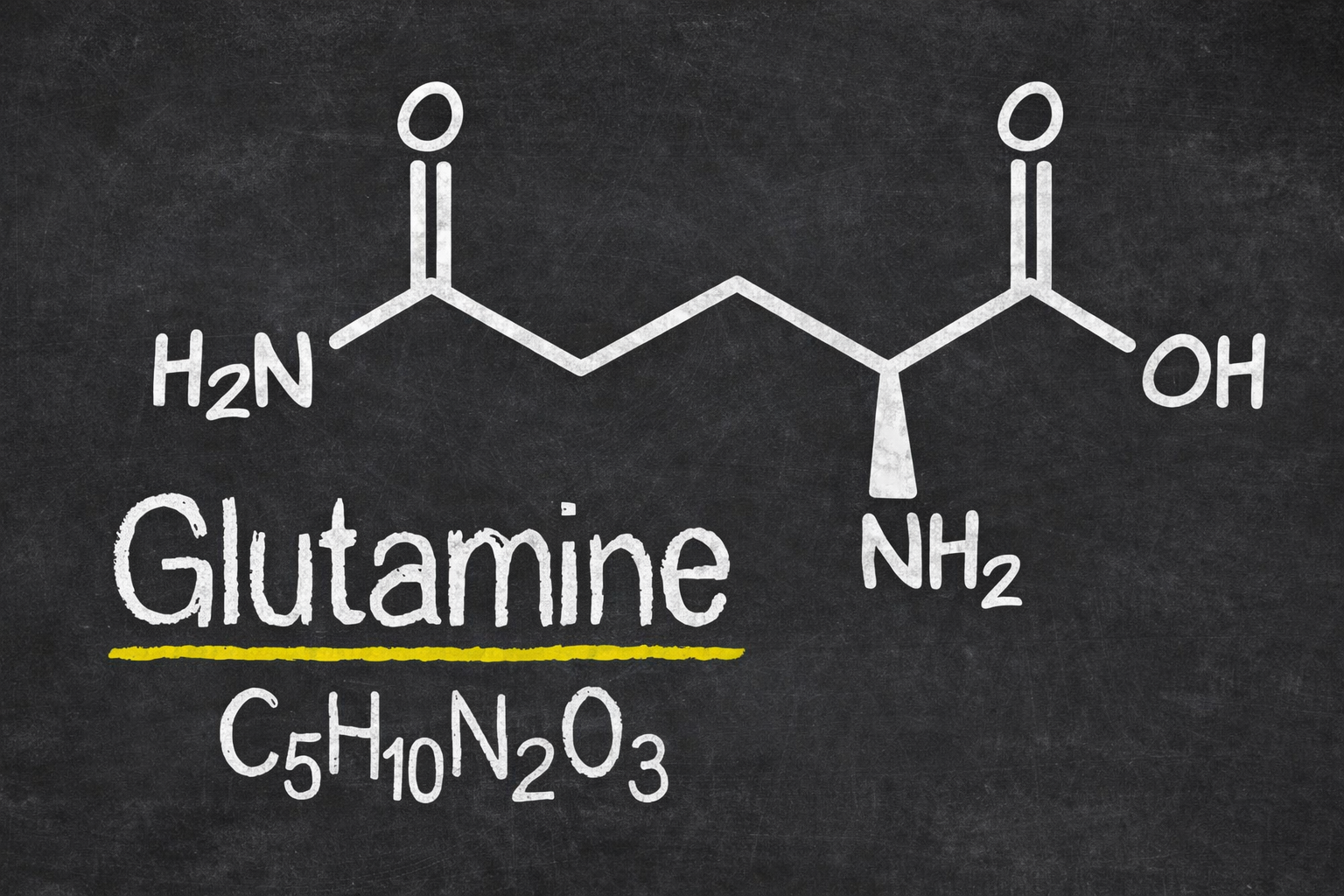 Glutamin – was bringt diese Aminosäure wirklich?