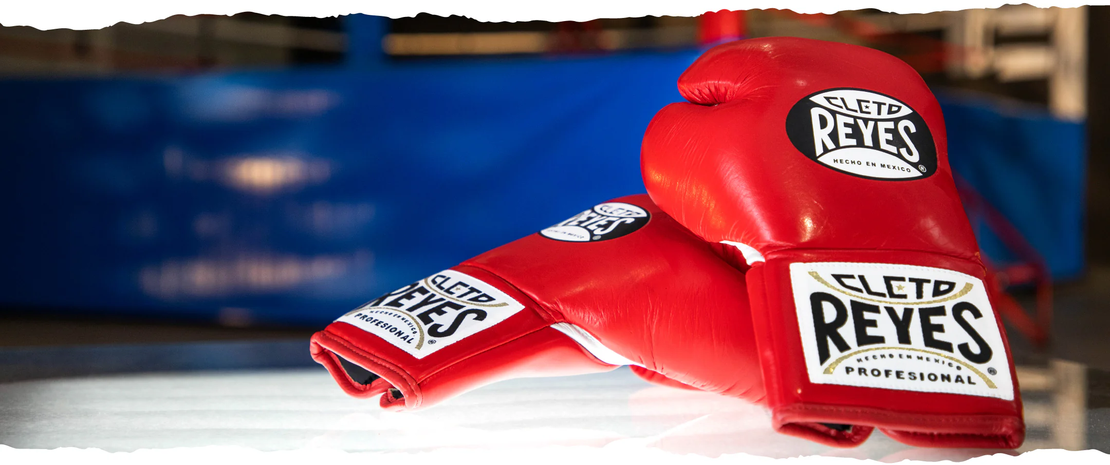 Die besten Boxhandschuhe: Cleto Reyes im Rampenlicht